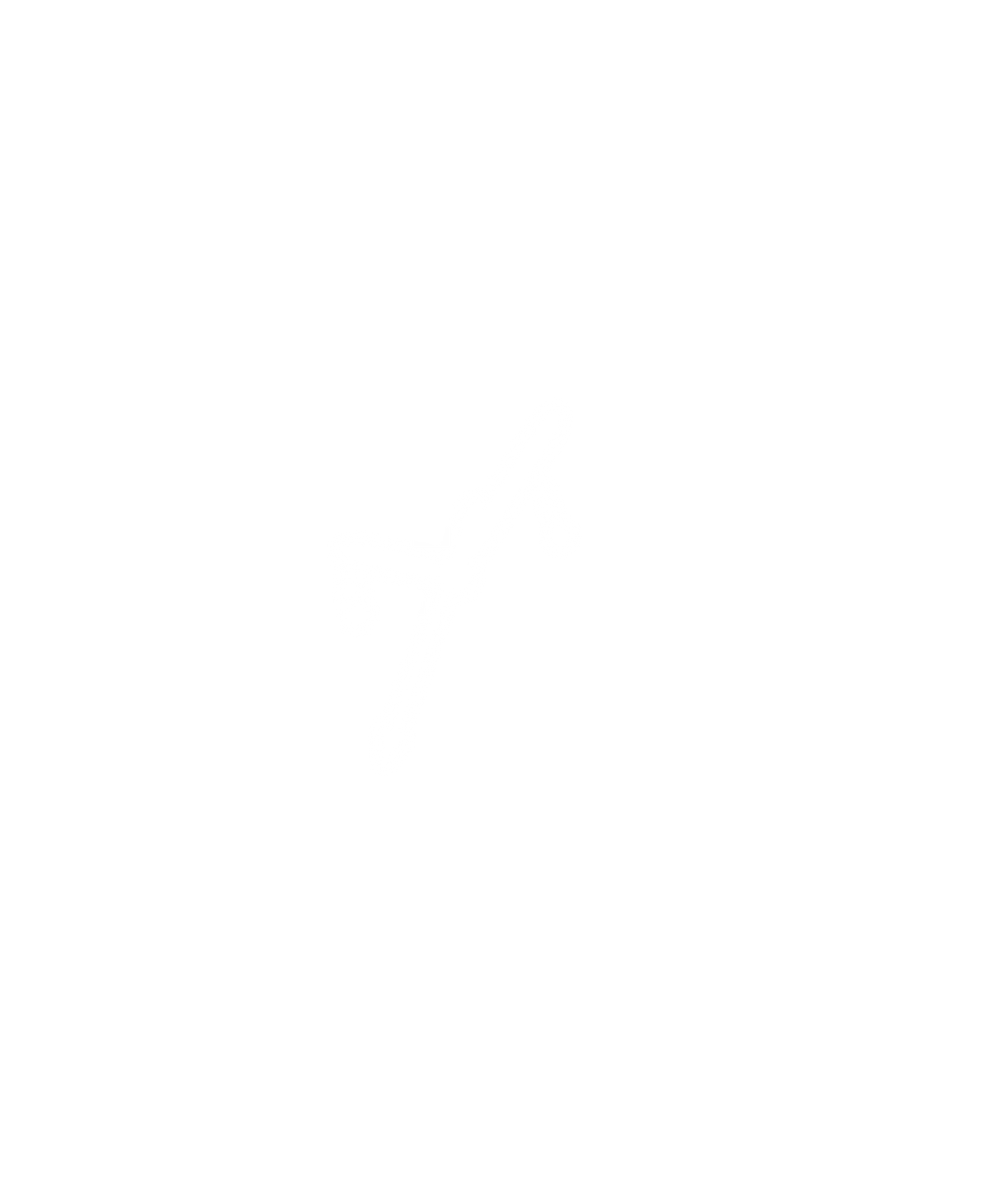 AIGUILLES FACETTÉES