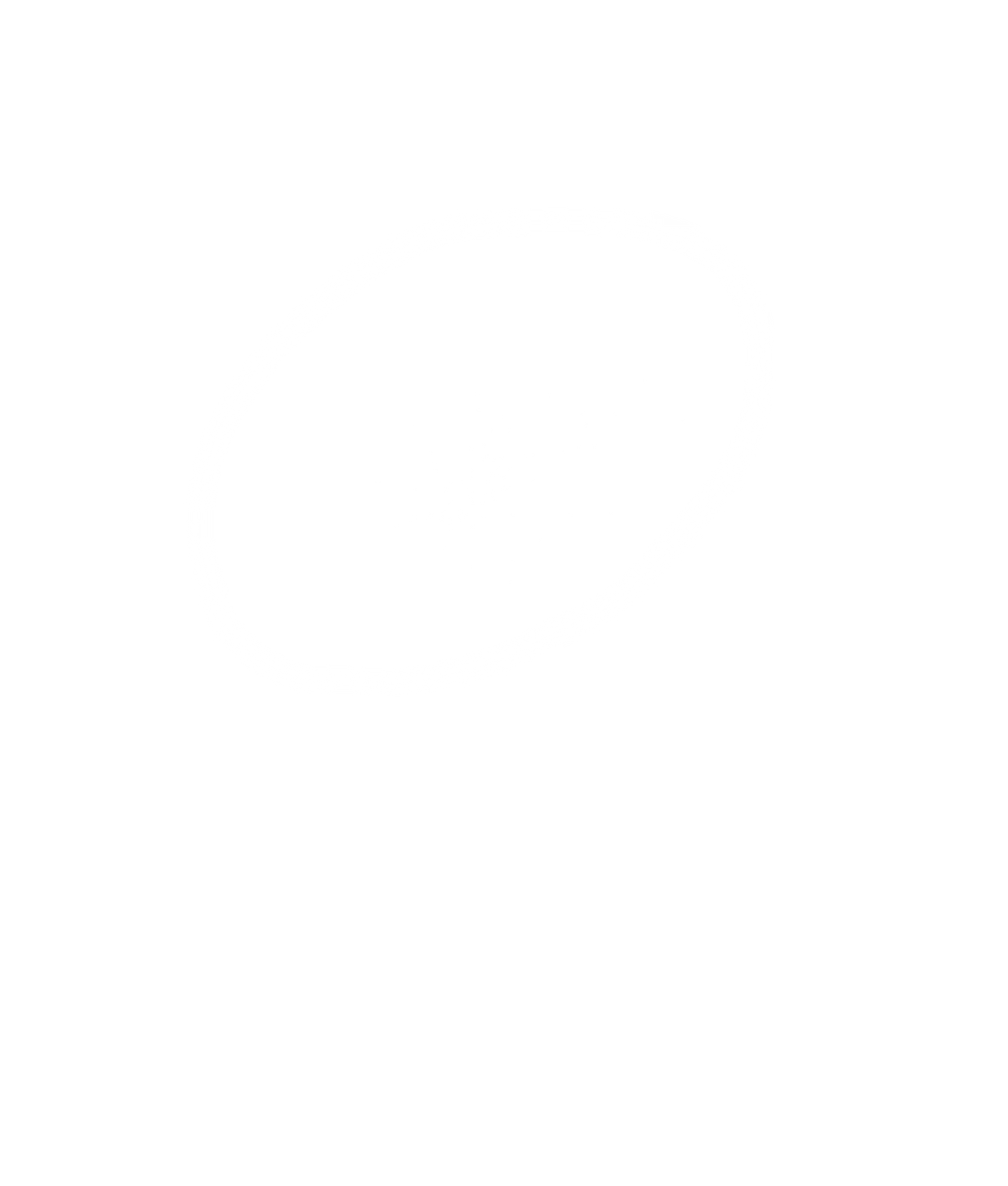 CADRAN MÉTÉORITE