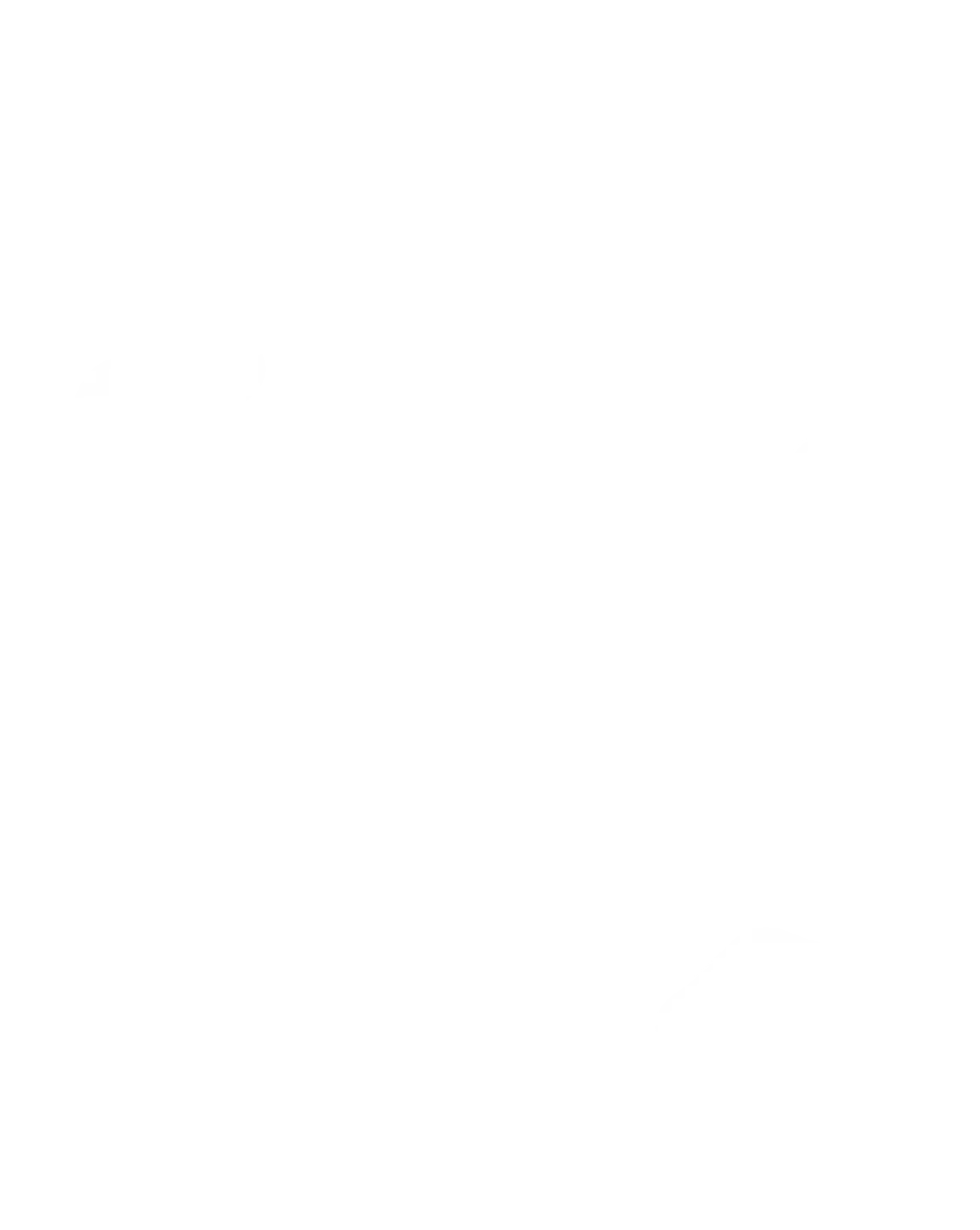 CORNES FACETTÉES ET PERCÉES