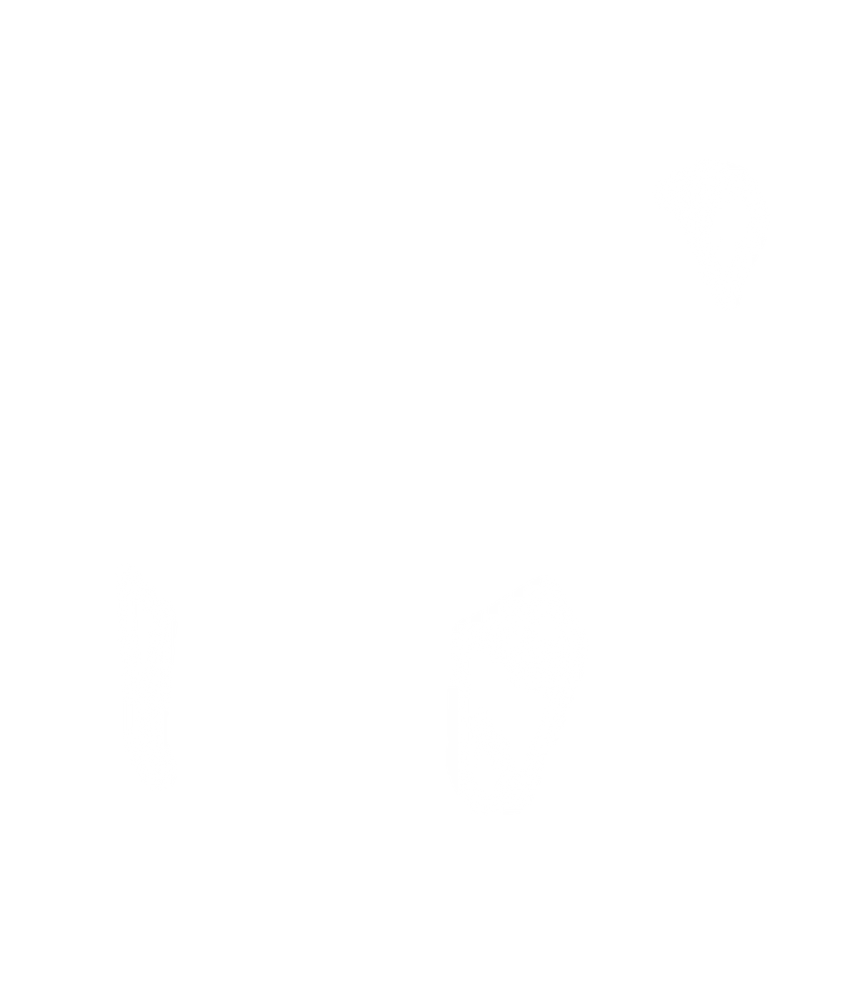 CORNES FACETTÉES ET PERCÉES