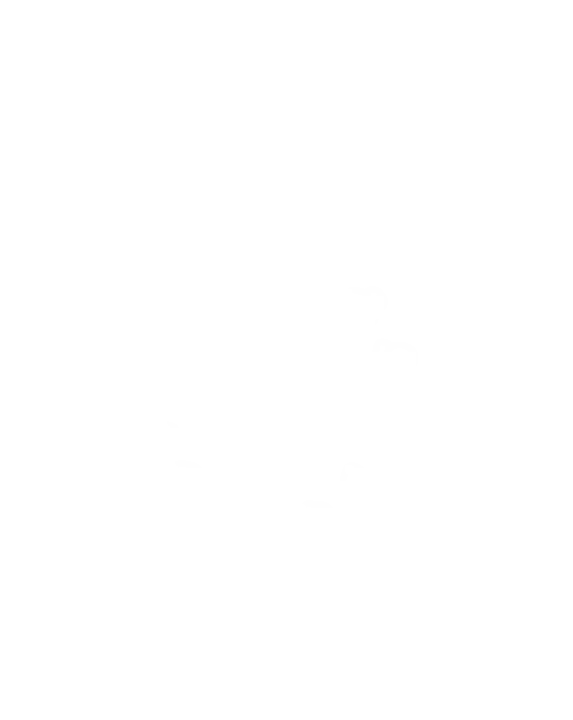 INDEX APPLIQUÉS