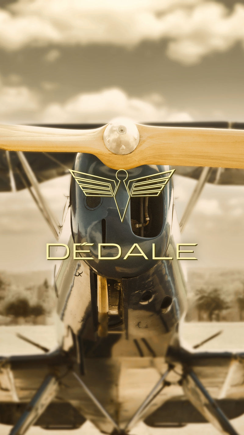 Nez d'un avion de collection Bücker Jungmann, ambiance vintage. Logo de la marque française de montre de pilote DÉDALE